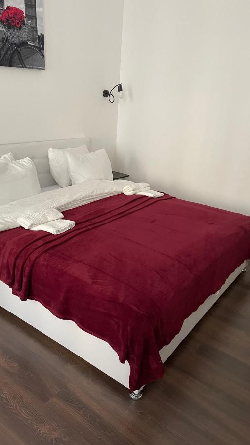 Rv Old City Apartment Velyka Vasylkivska 28,Self Check-In 24Х7 Kiev Esterno foto